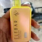 Elfbar RAYA D1 - Double Mango