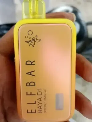Elfbar RAYA D1 - Double Mango