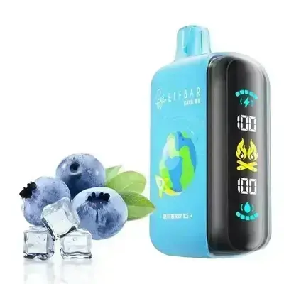 Elfbar RAYA D3 - Blueberry Ice